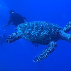 Meet your Posher, Nan-hee